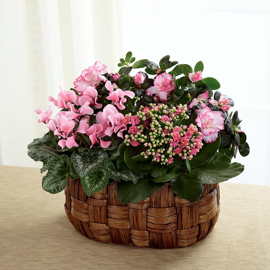 Pink Assortment – Oopsie Daisy Florist, Raeford NC