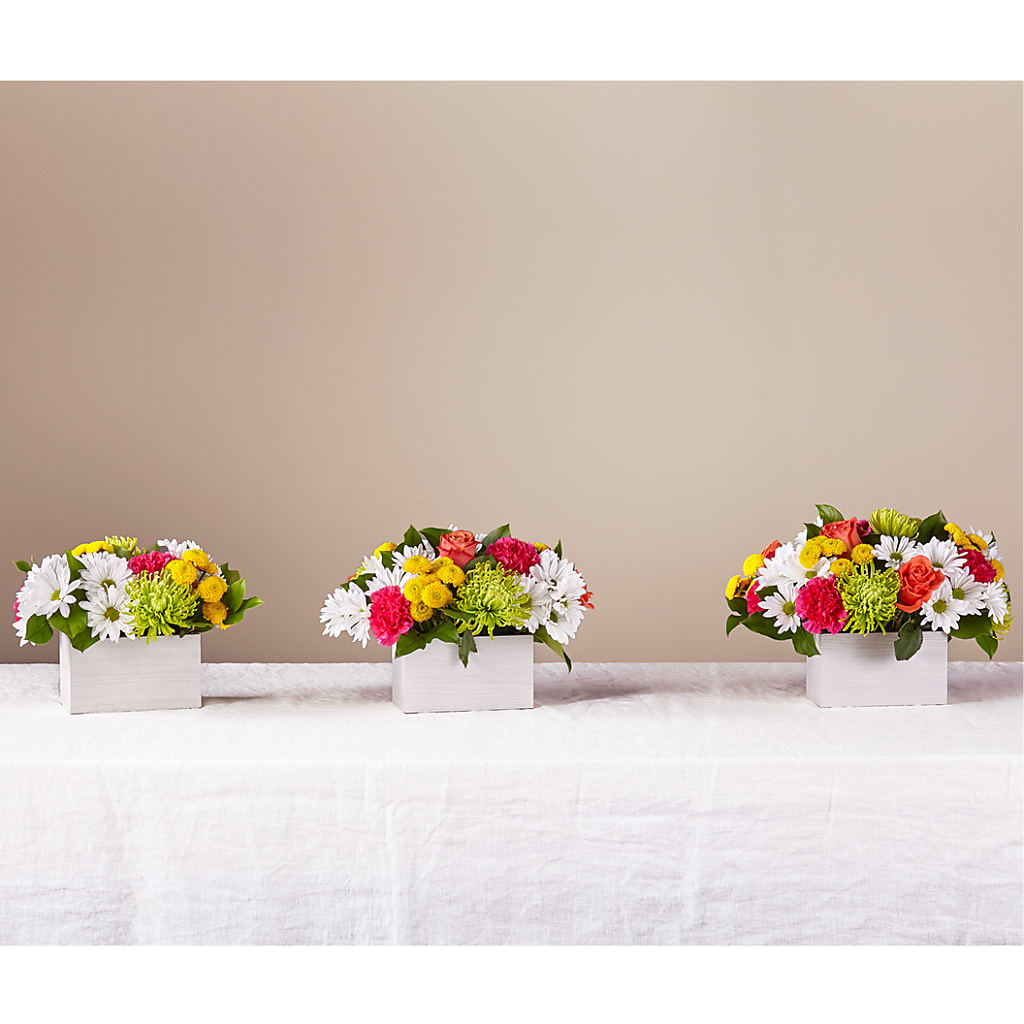 Sorbet Bouquet – Oopsie Daisy Florist, Raeford NC
