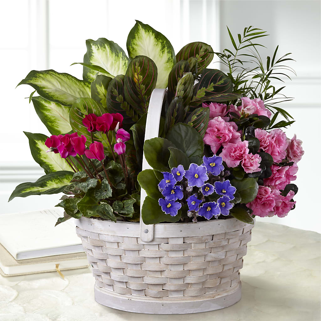 Peaceful Garden Planter – Oopsie Daisy Florist, Raeford NC