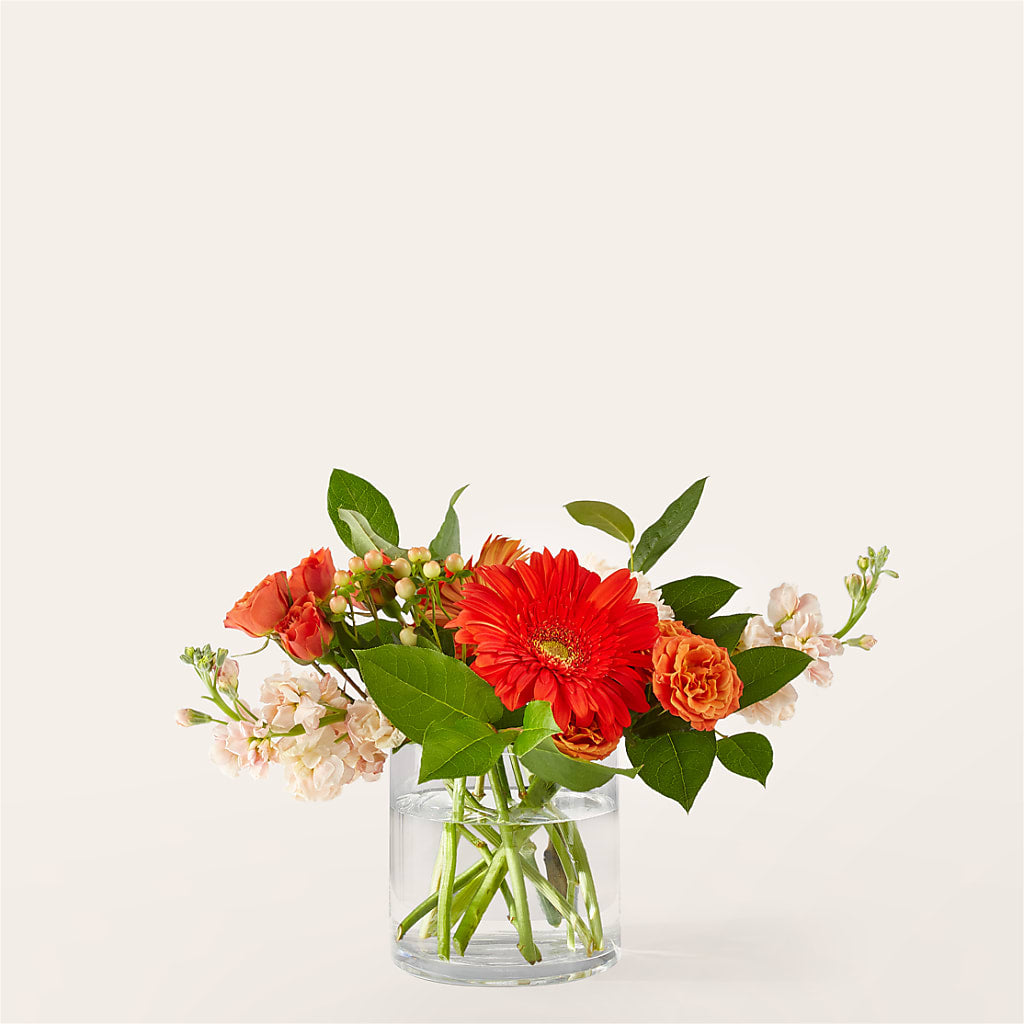Paloma Please Bouquet – Oopsie Daisy Florist, Raeford NC