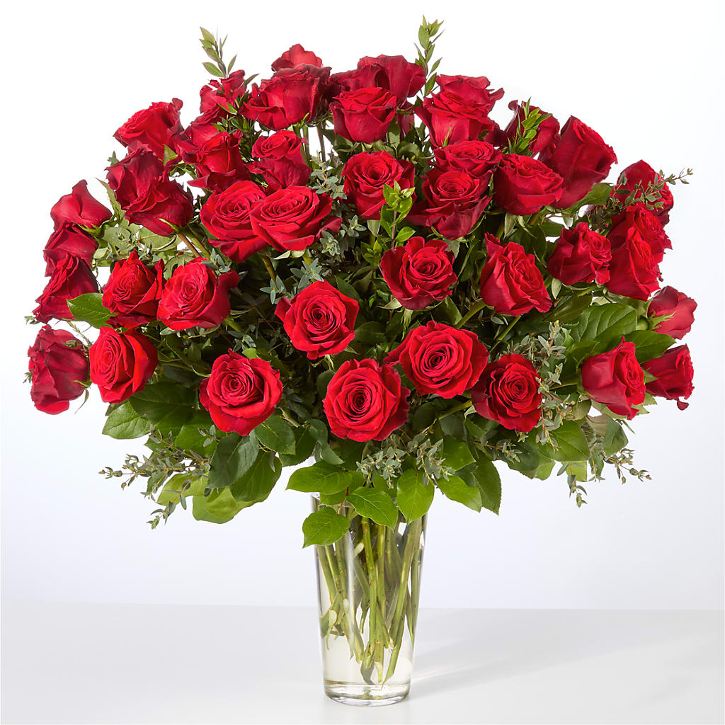 Forever Yours Fifty Stem Red Rose Bouquet – Oopsie Daisy Florist, Raeford NC