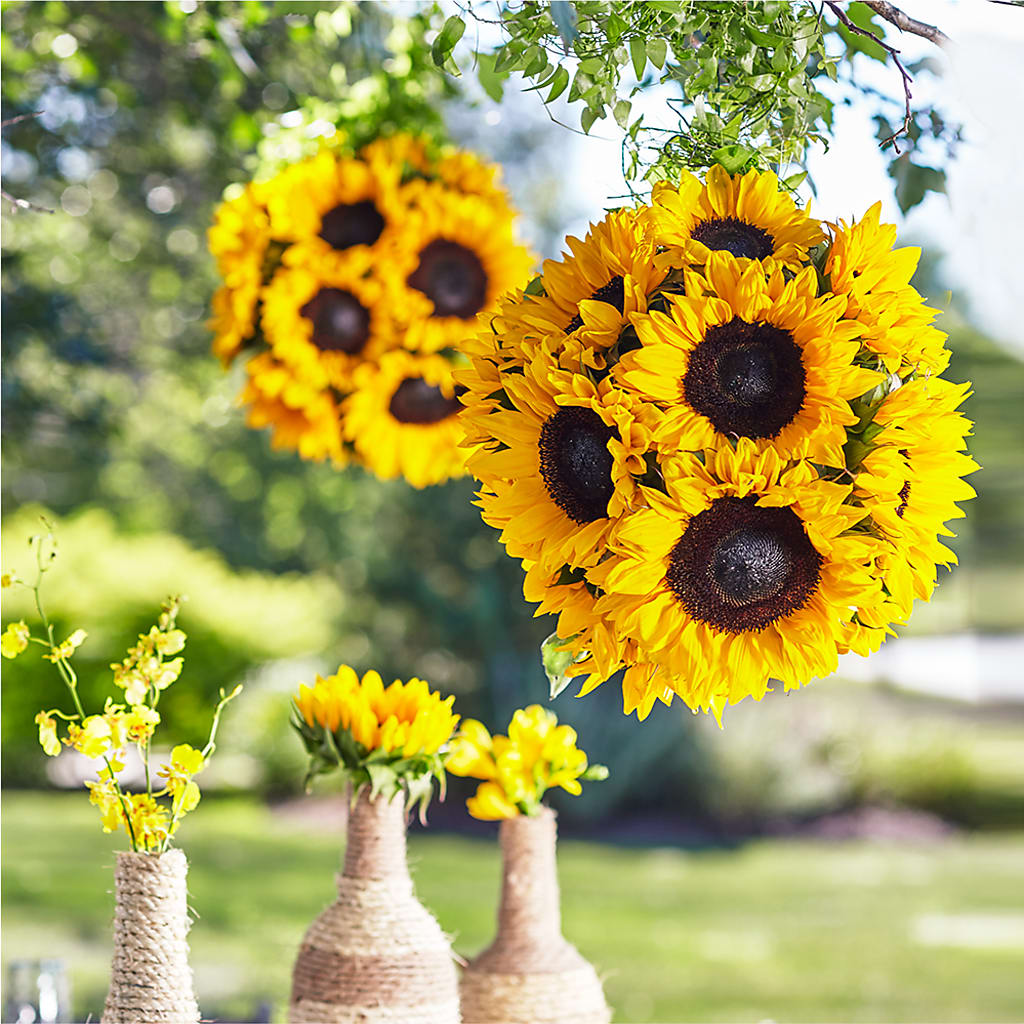 Sublime Garden Hanging Arrangement – Oopsie Daisy Florist, Raeford NC