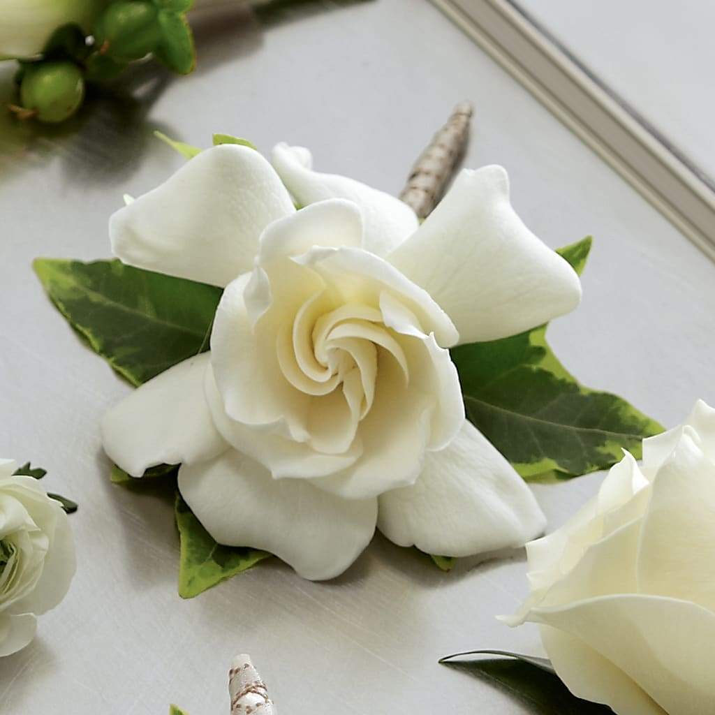 Gardenia Boutonniere – Oopsie Daisy Florist, Raeford NC