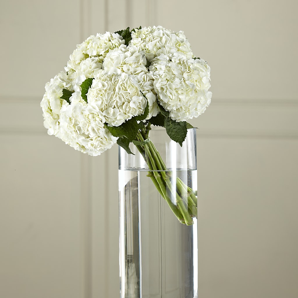 White Hydrangea Hand-Tied Bouquet – Oopsie Daisy Florist, Raeford NC