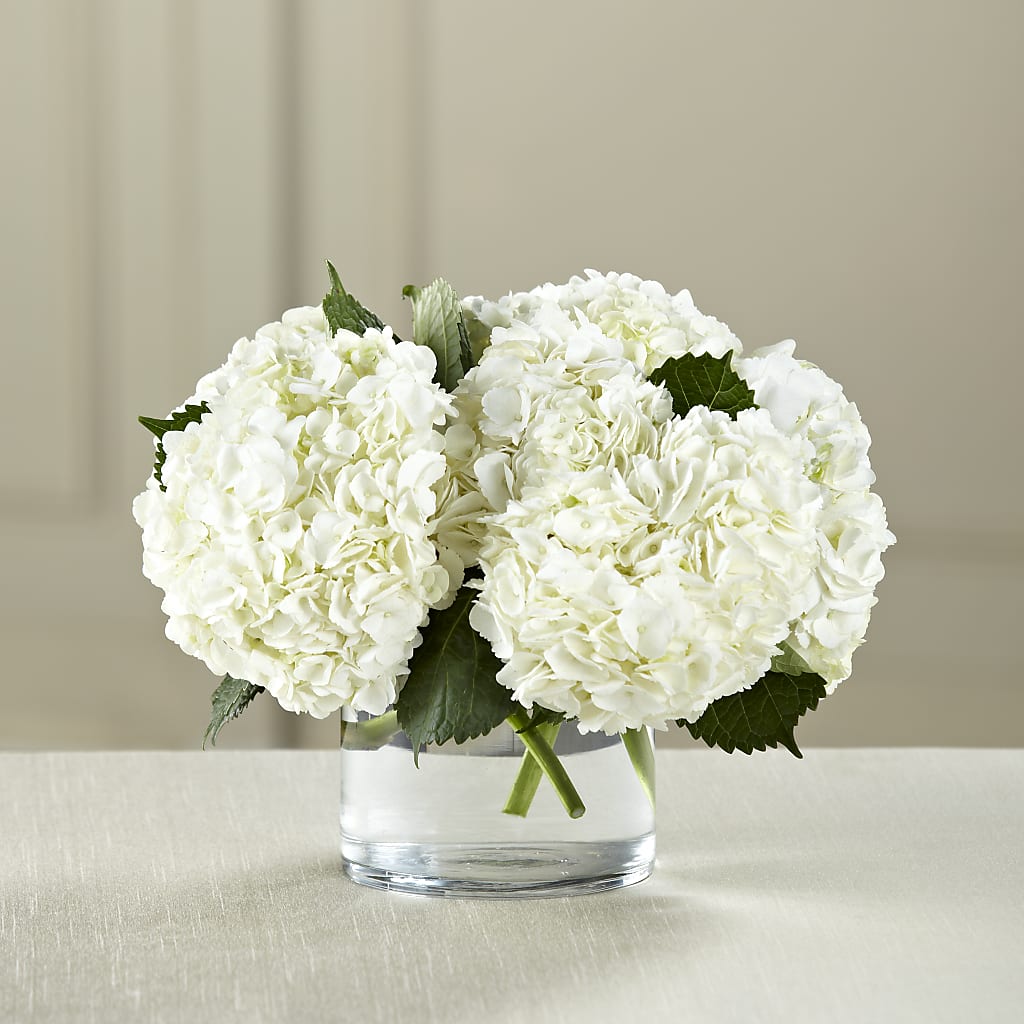 White Hydrangea Bouquet – Oopsie Daisy Florist, Raeford NC
