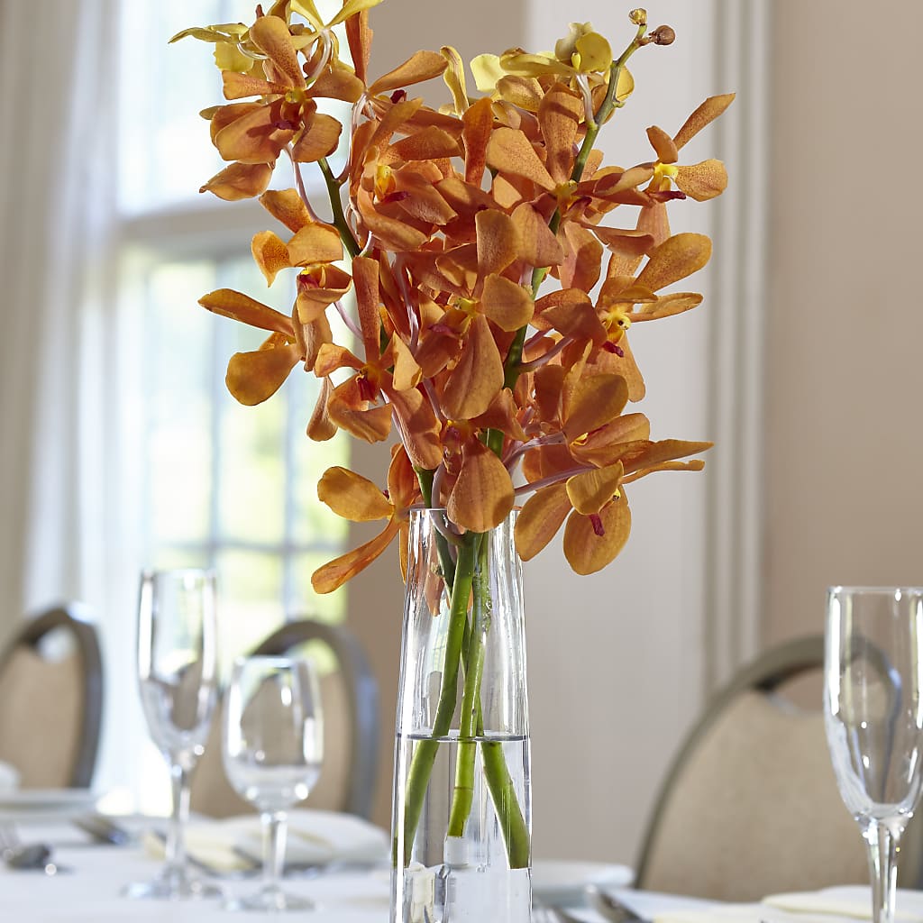 Orange Mokara Bud Vase – Oopsie Daisy Florist, Raeford NC