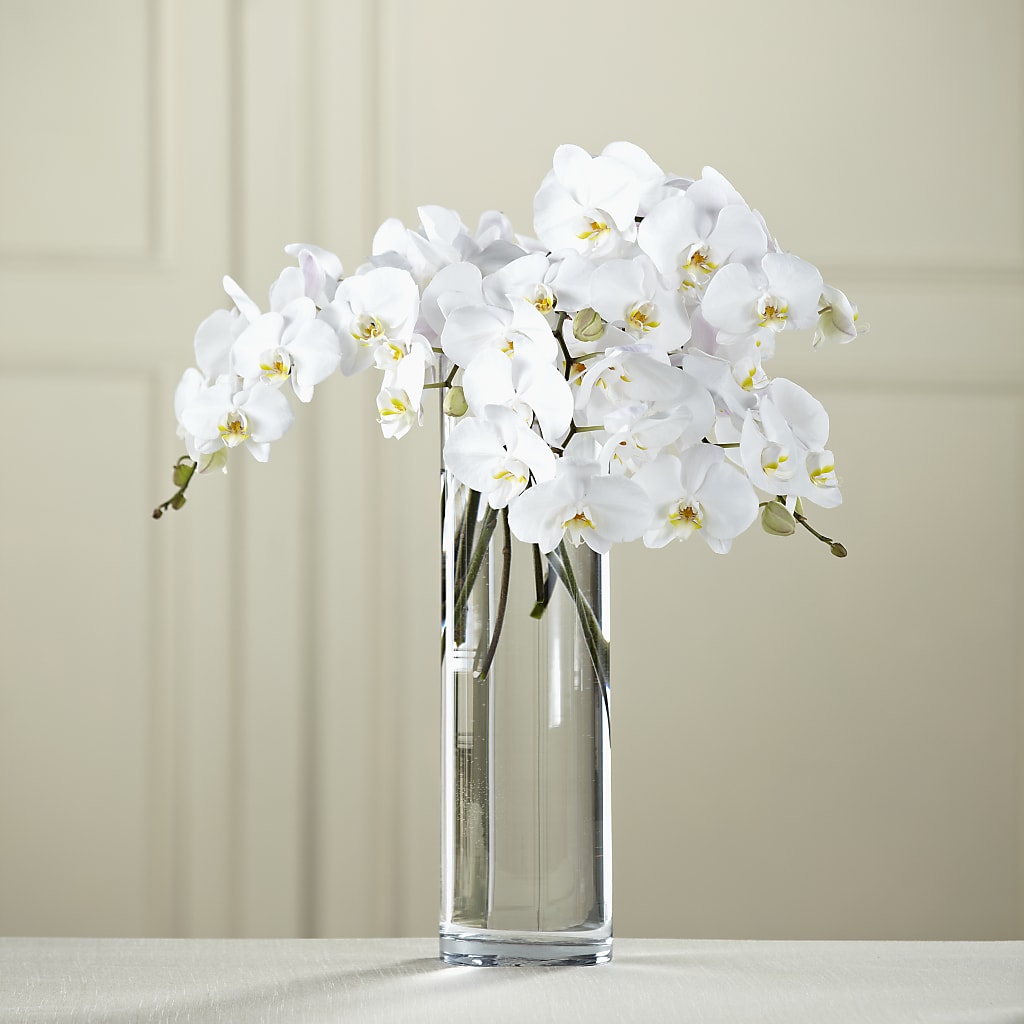 White Phalaenopsis Bouquet – Oopsie Daisy Florist, Raeford NC
