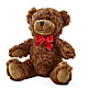 Adorable Plush Bear –  Oopsie Daisy Florist, Raeford NC