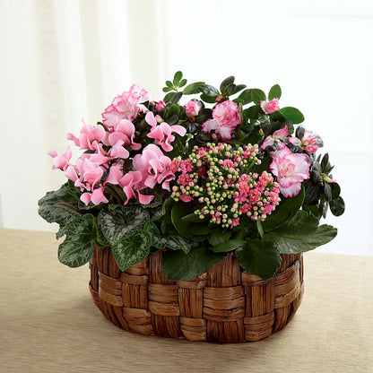 Pink Assortment –  Oopsie Daisy Florist, Raeford NC
