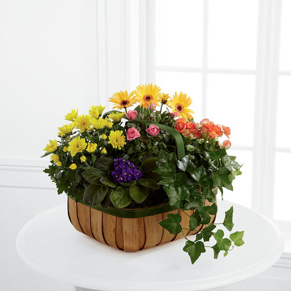 Gentle Blossoms Basket –  Oopsie Daisy Florist, Raeford NC