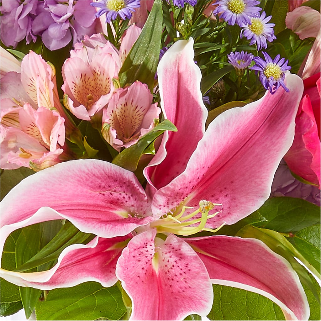 Written in the Stars Bouquet –  Oopsie Daisy Florist, Raeford NC