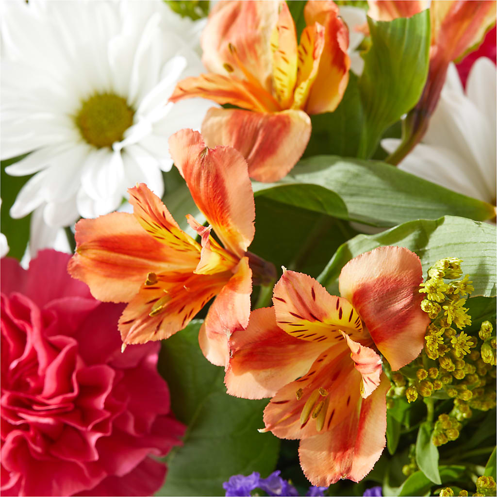 Oopsie Daisy Box Bouquet –  Oopsie Daisy Florist, Raeford NC