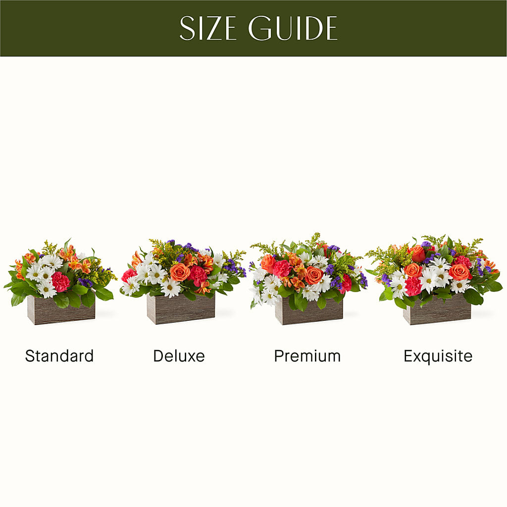 Oopsie Daisy Box Bouquet –  Oopsie Daisy Florist, Raeford NC