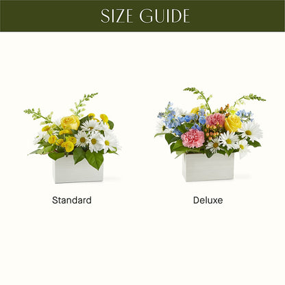 Sun Salutation Box Bouquet –  Oopsie Daisy Florist, Raeford NC