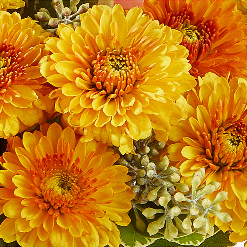 Peachy Pumpkin –  Oopsie Daisy Florist, Raeford NC