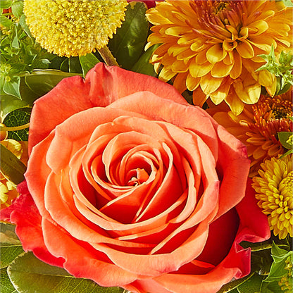 Gourdgeous Pumpkin –  Oopsie Daisy Florist, Raeford NC