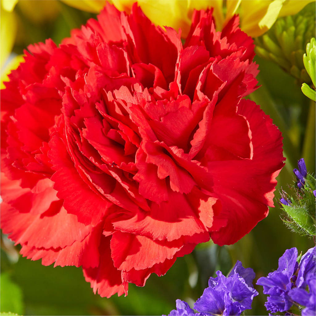 Brighter Days Bouquet –  Oopsie Daisy Florist, Raeford NC