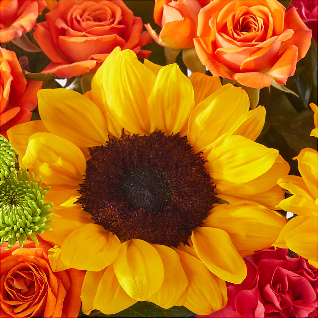 Sun-drenched Blooms Box Bouquet –  Oopsie Daisy Florist, Raeford NC