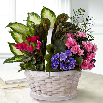 Peaceful Garden Planter –  Oopsie Daisy Florist, Raeford NC