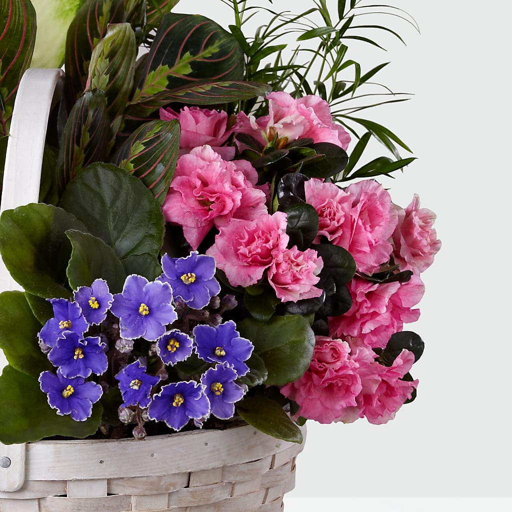 Peaceful Garden Planter –  Oopsie Daisy Florist, Raeford NC