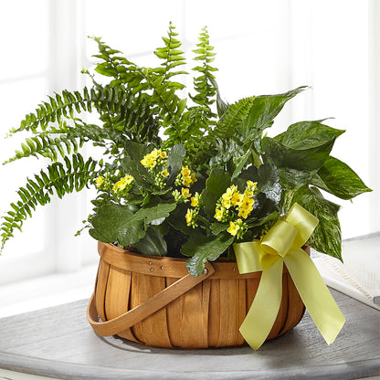 Always Dear Dishgarden –  Oopsie Daisy Florist, Raeford NC