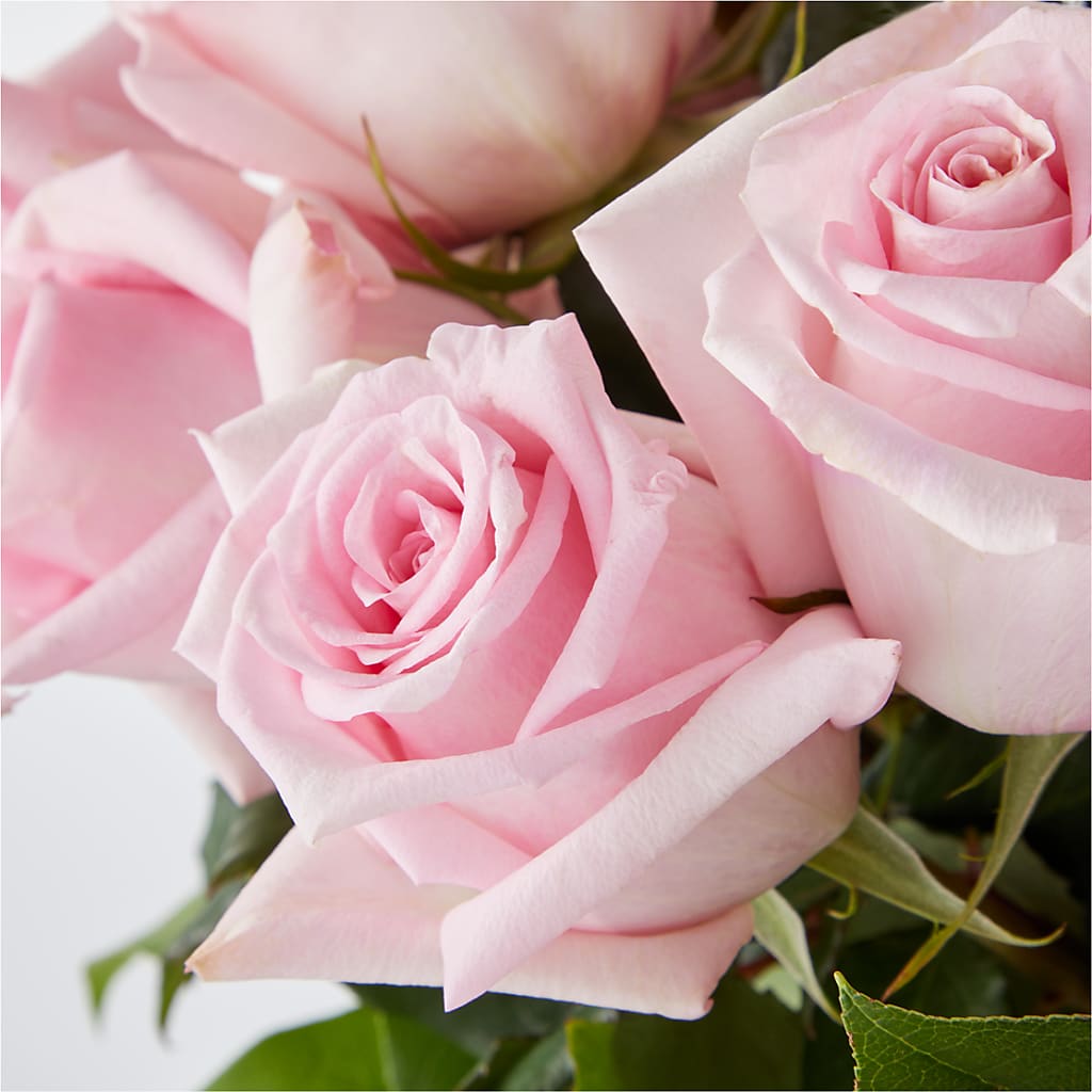 Picture Perfect Pink Rose Bouquet –  Oopsie Daisy Florist, Raeford NC
