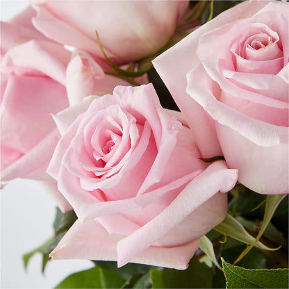 Picture Perfect Pink Rose Bouquet –  Oopsie Daisy Florist, Raeford NC