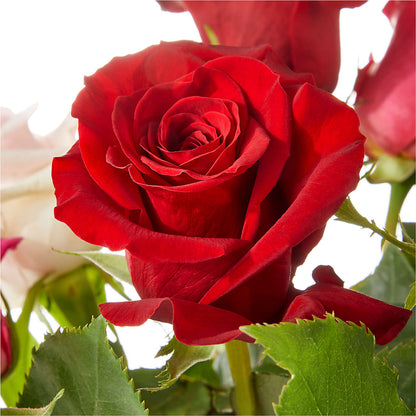 Love Notes Rose Bouquet –  Oopsie Daisy Florist, Raeford NC
