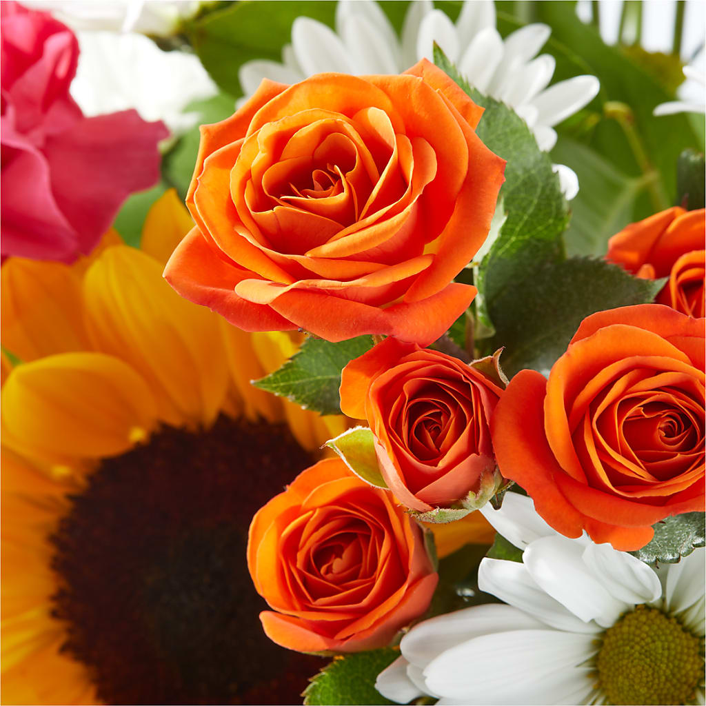 Sun-drenched Blooms Bouquet –  Oopsie Daisy Florist, Raeford NC