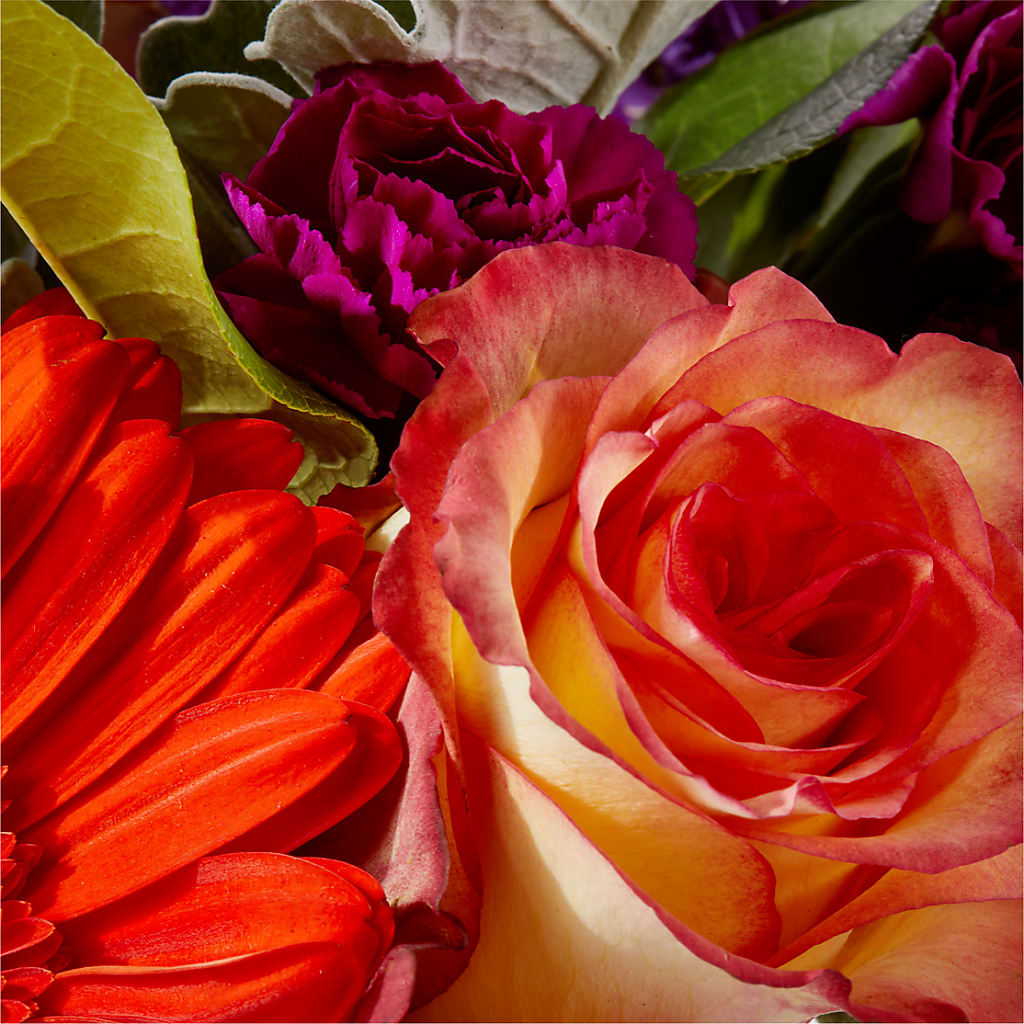 Sangria Bouquet –  Oopsie Daisy Florist, Raeford NC