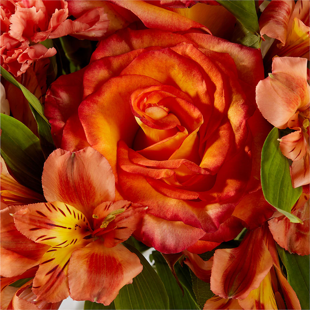 Apricot Glow Bouquet –  Oopsie Daisy Florist, Raeford NC