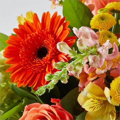 Autumn Sunshine Bouquet –  Oopsie Daisy Florist, Raeford NC