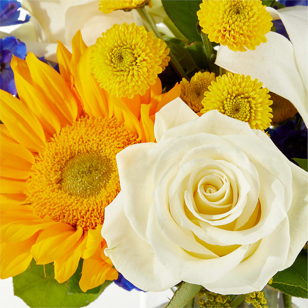 Stargazing Bouquet –  Oopsie Daisy Florist, Raeford NC
