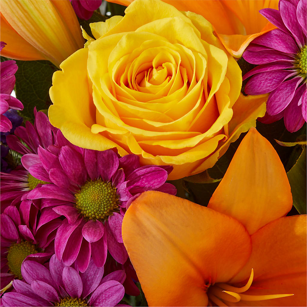 Colorful Visions Bouquet –  Oopsie Daisy Florist, Raeford NC