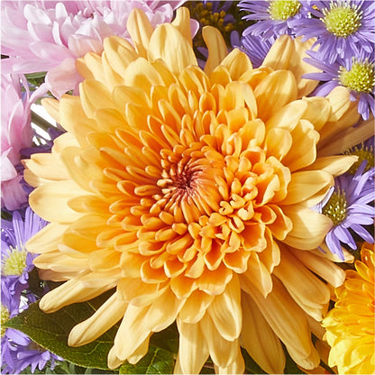Countryside Bouquet –  Oopsie Daisy Florist, Raeford NC