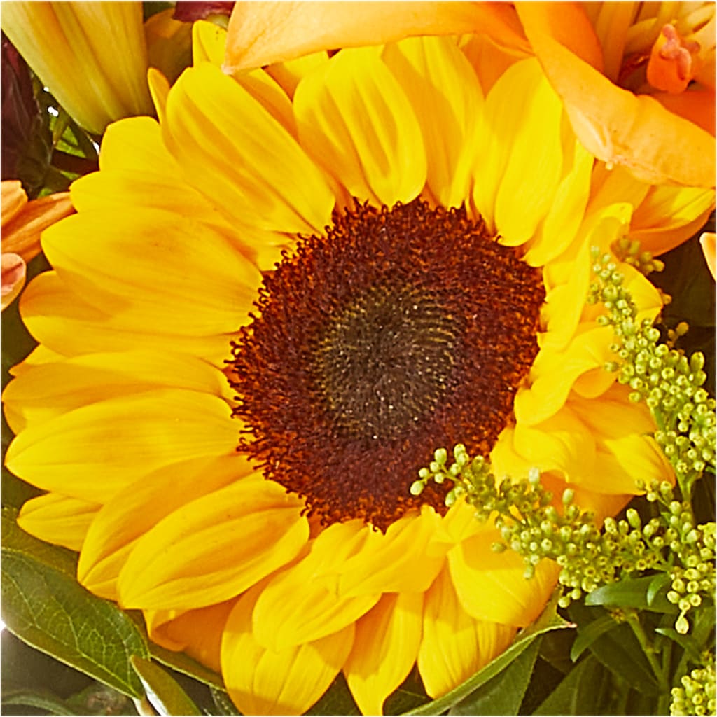 Seasons Change Bouquet –  Oopsie Daisy Florist, Raeford NC