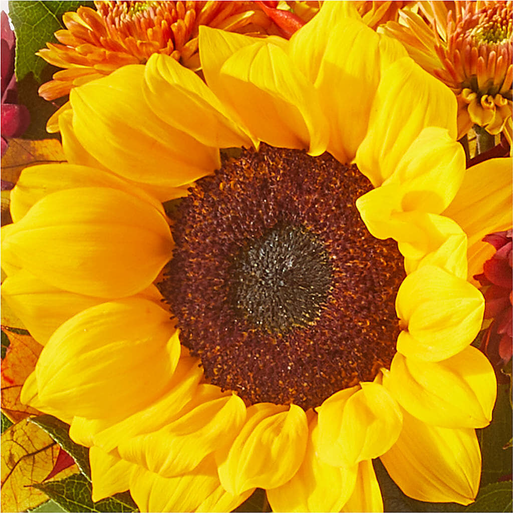 Sunny Side Bouquet –  Oopsie Daisy Florist, Raeford NC