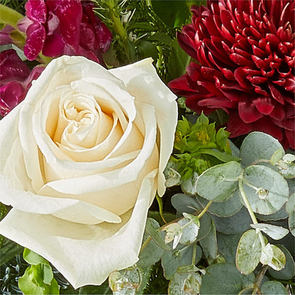 Cranberry Fizz Bouquet –  Oopsie Daisy Florist, Raeford NC