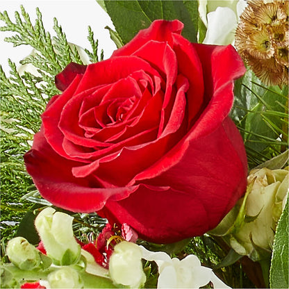 Deck the Halls Bouquet –  Oopsie Daisy Florist, Raeford NC