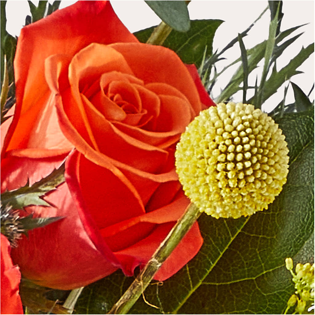 Disco Bouquet –  Oopsie Daisy Florist, Raeford NC