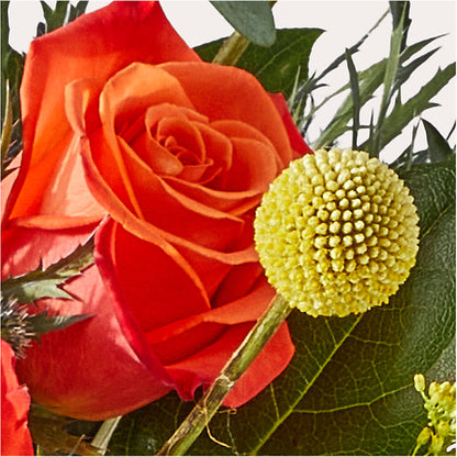 Disco Bouquet –  Oopsie Daisy Florist, Raeford NC