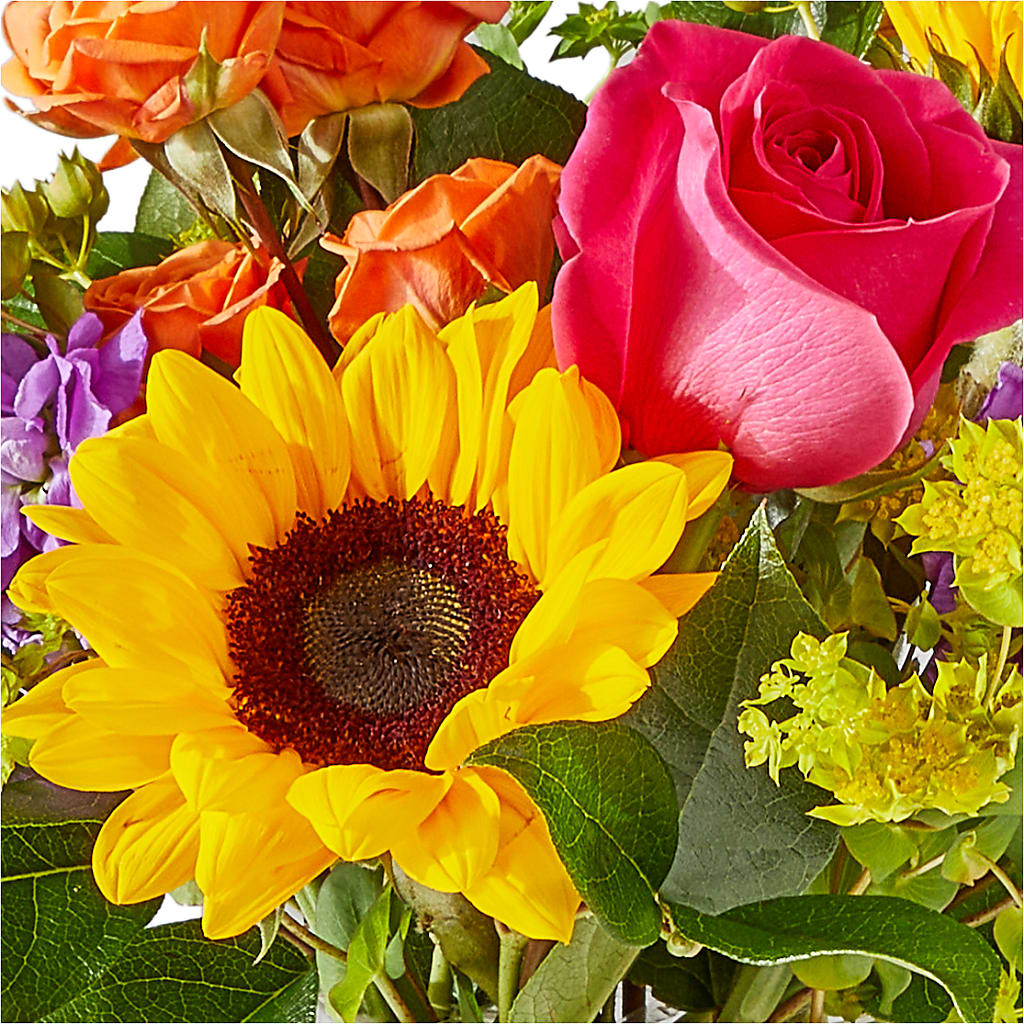 Vibrant Greetings Bouquet –  Oopsie Daisy Florist, Raeford NC
