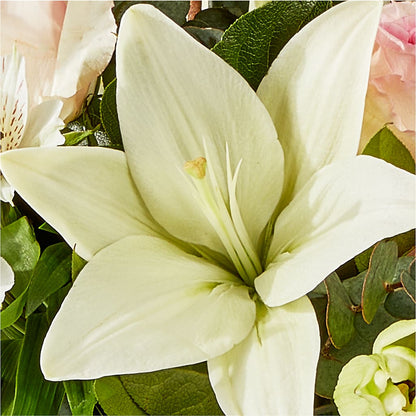 Ballet Slippers Bouquet –  Oopsie Daisy Florist, Raeford NC
