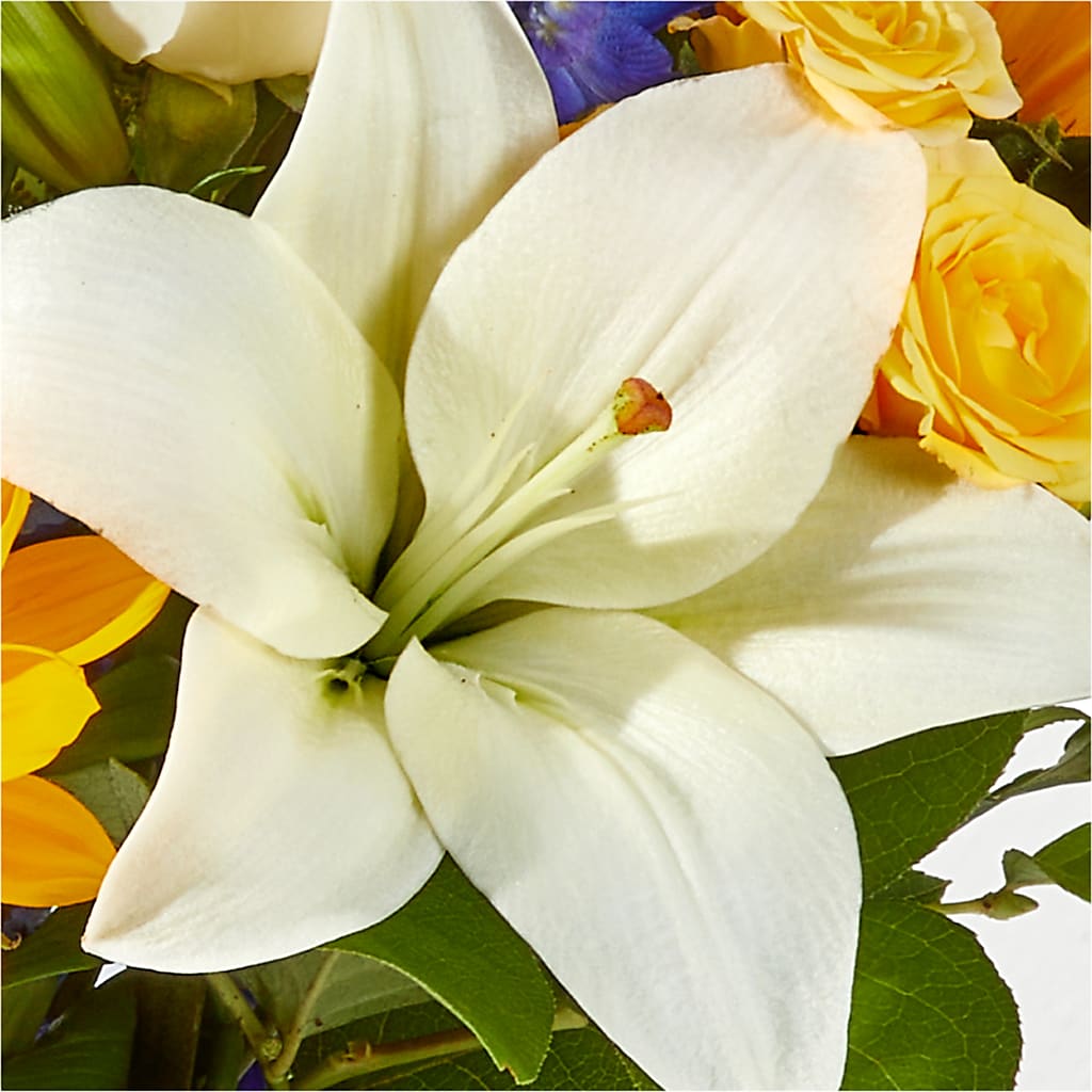 Wonderfully Sunny Bouquet –  Oopsie Daisy Florist, Raeford NC