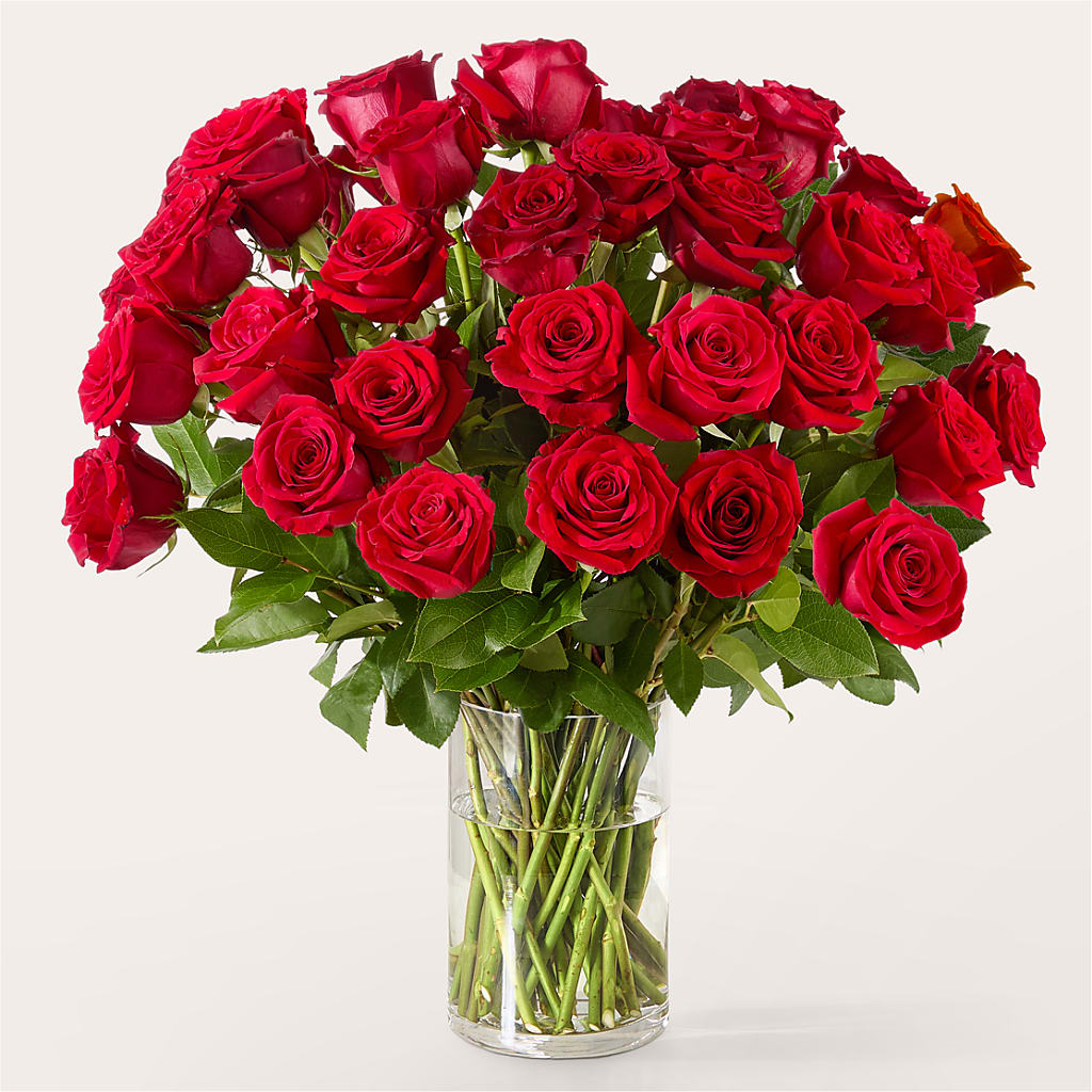 The One Red Rose Bouquet –  Oopsie Daisy Florist, Raeford NC