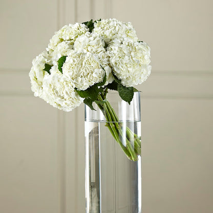 White Hydrangea Hand-Tied Bouquet –  Oopsie Daisy Florist, Raeford NC