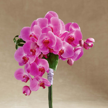 Glorious Bouquet –  Oopsie Daisy Florist, Raeford NC