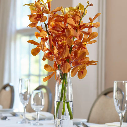 Orange Mokara Bud Vase –  Oopsie Daisy Florist, Raeford NC
